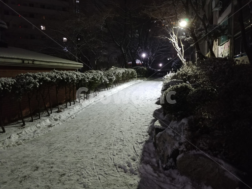 겨울,눈,밤,길,발자국