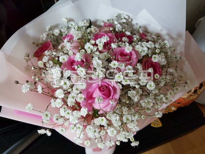 장미,안개꽃,꽃다발,꽃부케,식물,flower,꽃꽂이,flowerarrangement,flowerbouquet