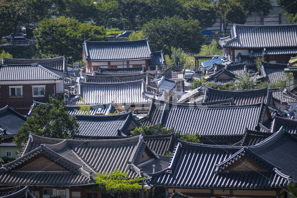 전주시,한옥마을,풍경,기와,도시,한국전통,한국문화,korean traditional,korean culture,건축물,건물외관,exterior,building,structure,architecture,construction