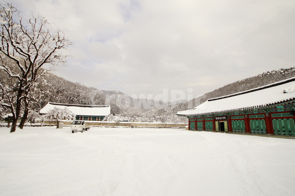 선운사,고창,설경,사찰,풍경,겨울,계절,winter,season,자연,풍경,nature,landscape,한국자연풍경,한국자연경관,korea nature landscape,outdoors,옥외