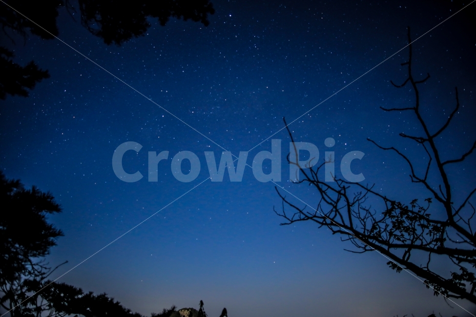 용문산,별,야경,산,밤하늘,자연,풍경,nature,landscape,야경,밤,nightscape,night,outdoors,옥외,outer space,대기권 밖,universe,우주,astronomy,천문학,starry sky,별이 빛나는 하늘,space