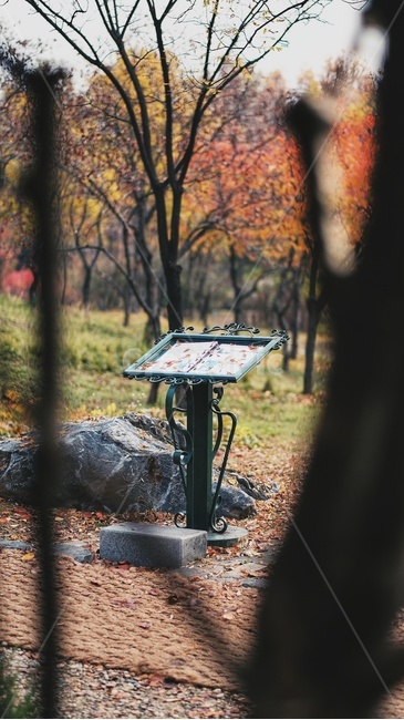 가을,풍경,수목원,대전,나무잎,안매표지판,가을,계절,fall,autumn,season