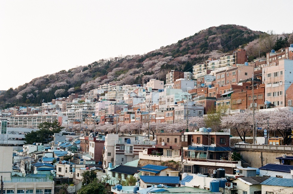 봄,산복도로,부산,도시,urban,어반,town,중심지,건물,시티,city