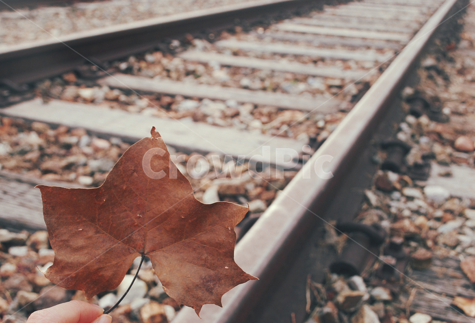 감성,가을,자연,기찻길,낙엽,하늘,나뭇가지,가을,계절,fall,autumn,season,감성,sensible,feeling,교통,교통수단,traffic,transportation,railway,철도,rail,레일,train track,leaf,잎,plant,식물