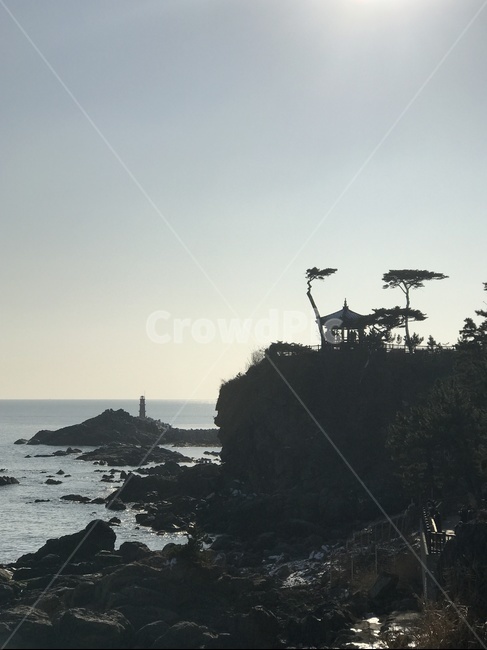 구름,하늘,파란하늘,여유,여행,정자,노송,소나무,바닷가,해변가,sky,분위기,나무,클라우드,cloud,따뜻함,햇볕,풍경,자연,풍경,nature,landscape,한국자연풍경,한국자연경관,korea nature landscape,promontory,곶