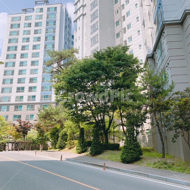 나무,아파트,하늘,풍경,아파트단지