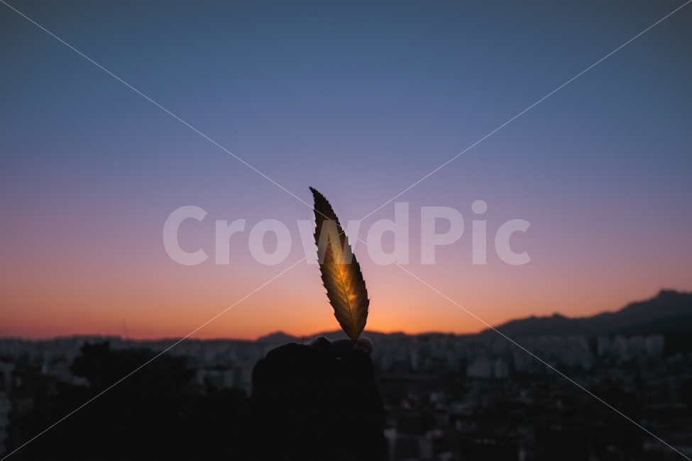 가을,단풍,낙엽,보케,아웃포커싱,감성,감성사진,매직아워,가을,계절,fall,autumn,season,식물,자연,plants,nature,사람,인물,인간,human,person,감성,sensible,feeling,outdoors,옥외