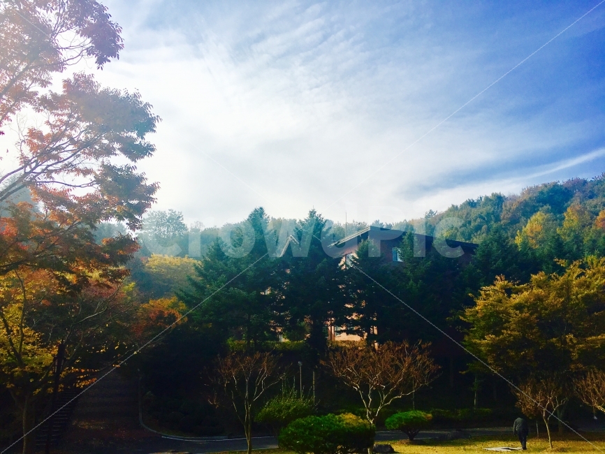 학교캠퍼스,가을,하늘,단풍,구름,가을,계절,fall,autumn,season,자연,풍경,nature,landscape,tree,나무,plant,식물