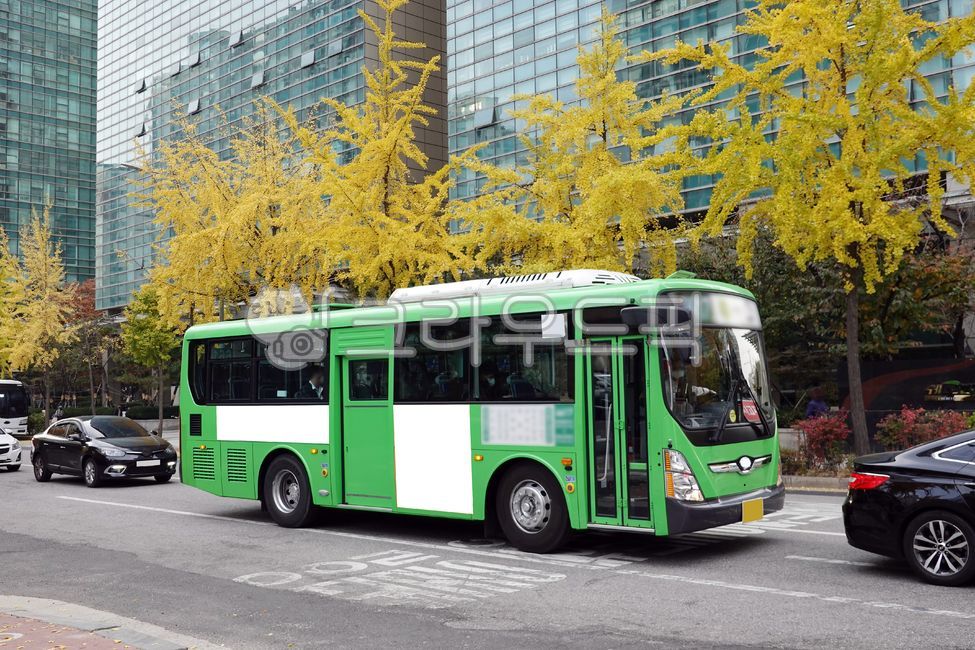 버스,버스광고,목업,목업이미지,광고,광고판,차량광고,시내버스광고,부착광고,옥외광고,판넬,비즈니스,상업광고판,도시배경,사인보드,상업광고,커머셜,비어있는,프레임,광고디자인,빈공간,배경,바탕,백그라운드,사각형광고판,차량,교통수단,bus,busadvertisement,mockup,mockupimage,billboard,vehicleadvertisement,citybusadvertisement,advertisement,outdooradvertisement,panel,business,commercialbillboard,citybackground,signboard,commercialadvertisement,commercial,free,frame,advertisingdesign,emptyspace,background