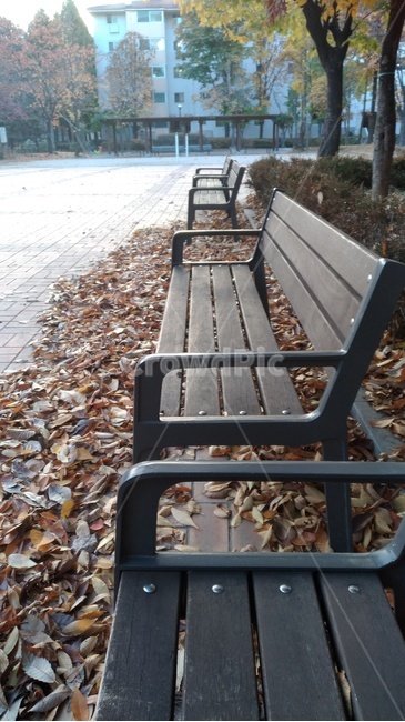 공원벤치,bench,벤치,parkbench,가구,furniture,가을