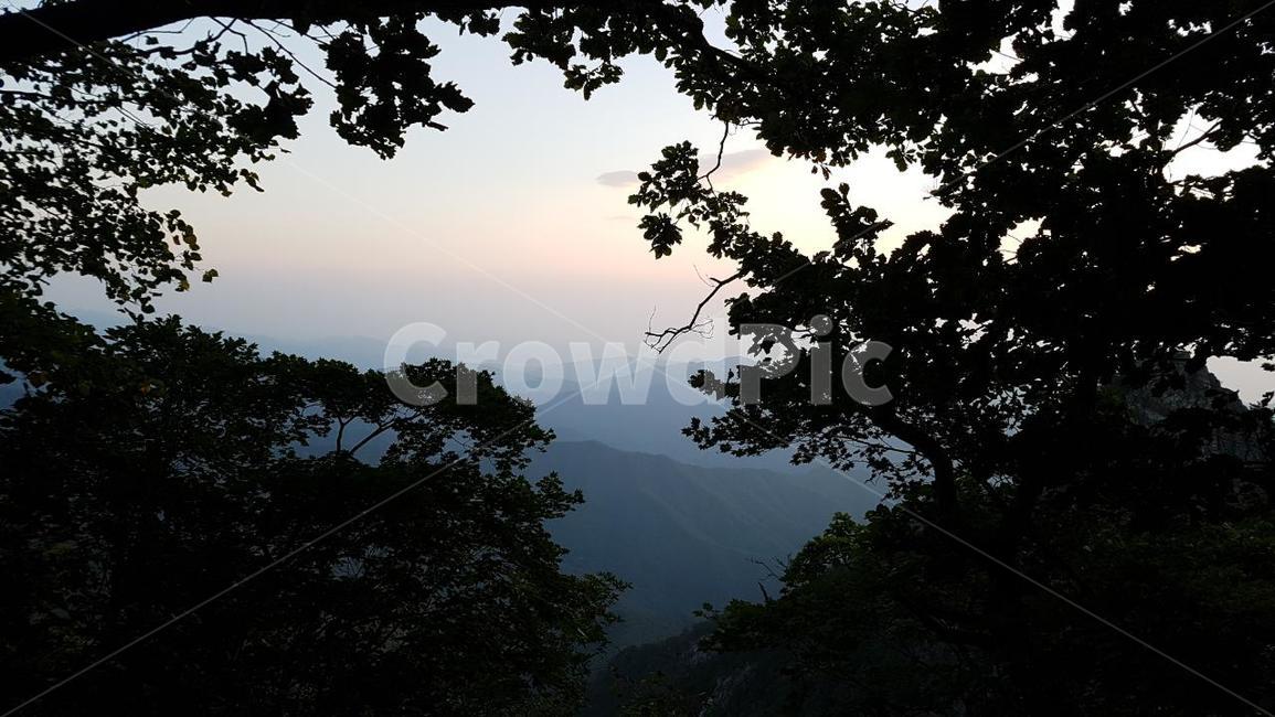 백두대간,백복령,동해,여명,일출,자연,풍경,nature,landscape,vegetation,초목,plant,식물,outdoors,옥외,rainforest,열대 우림,land,땅,tree,나무