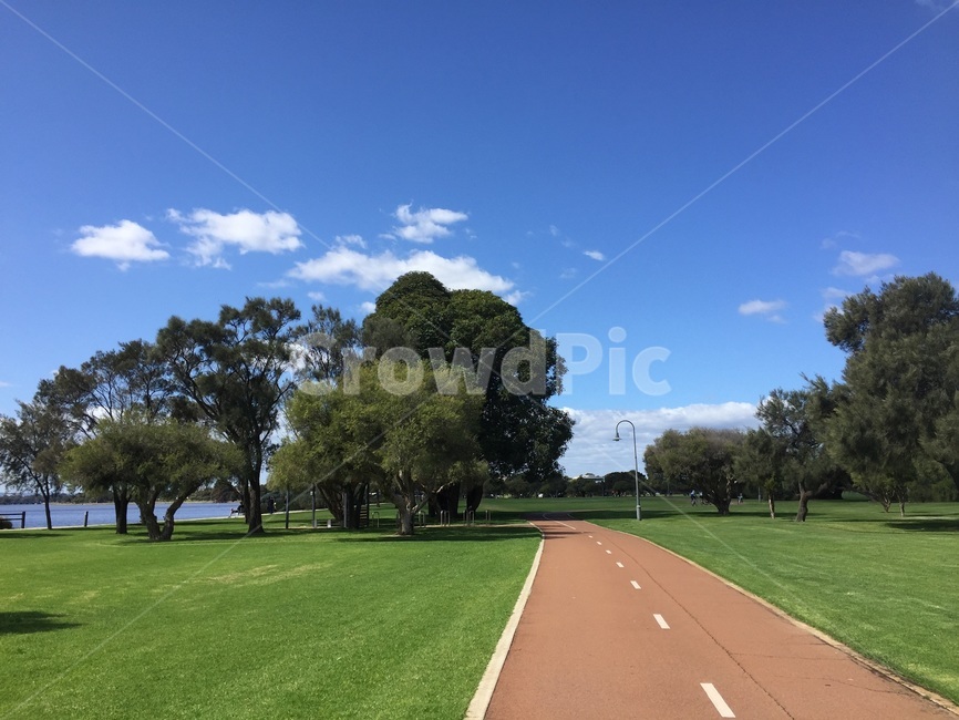 공원,나무,푸른하늘,자전거도로,잔디,plant,grass,park,walkway,깨끗함,푸름,자연,풍경,nature,landscape,식물,lawn