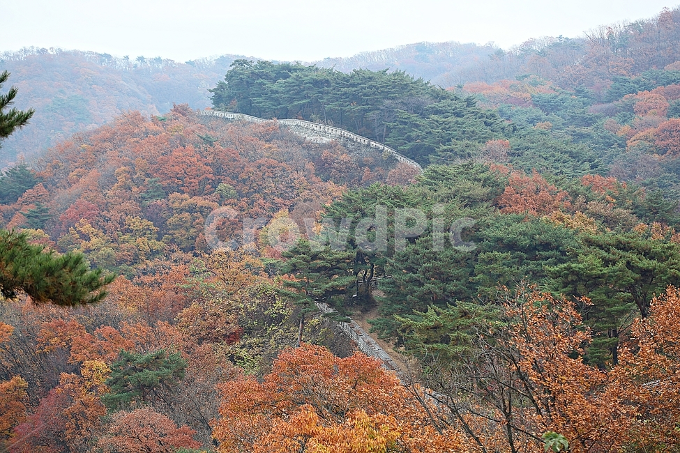 남한산성,성,성곽,단풍,낙엽,길,둘레길,숲,숲길,담,돌담,가을,자연,풍경,벽,울긋불긋,산성,식물,가을,계절,fall,autumn,season