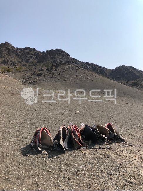 몽골,말안장,안장,욜링암,자연