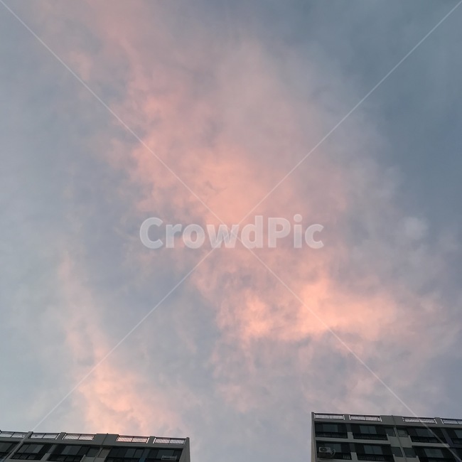 구름,노을,분홍,cloud,pink,솜사탕구름,핑크구름,하늘,도시