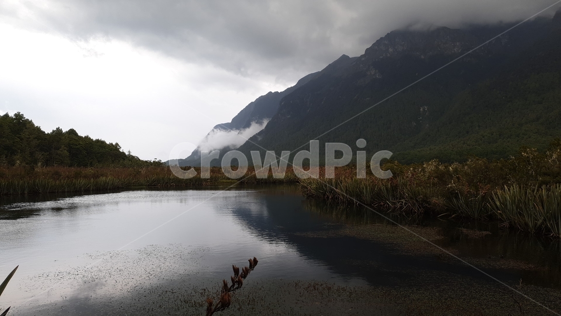 nature,자연,water,물,land,뉴질랜드,자연,풍경,nature,landscape