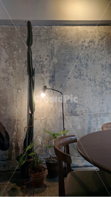 카페,감성,화분,조명,선인장,분위기Cafe,sensitivity,flowerpot,lighting,cactus,crisis