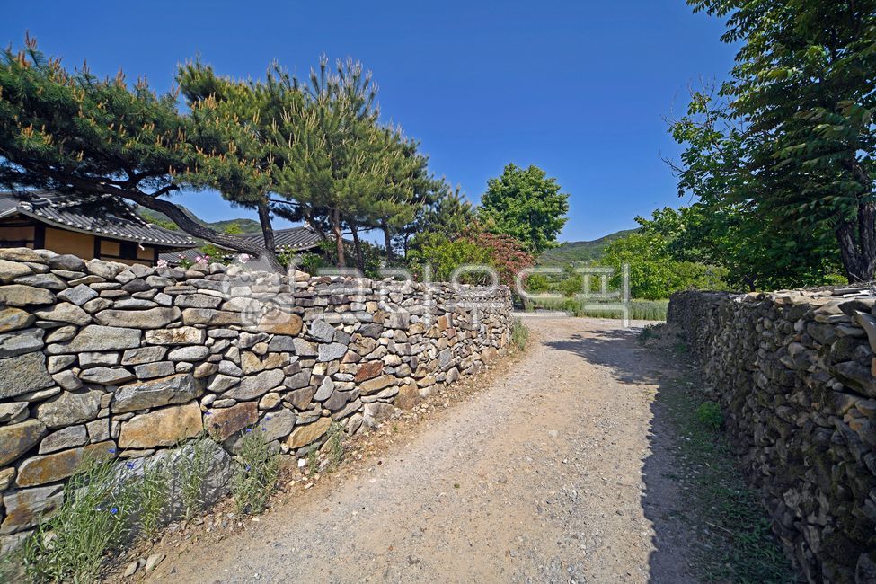 외암민속마을,외암마을,아산시,집성촌,돌담길