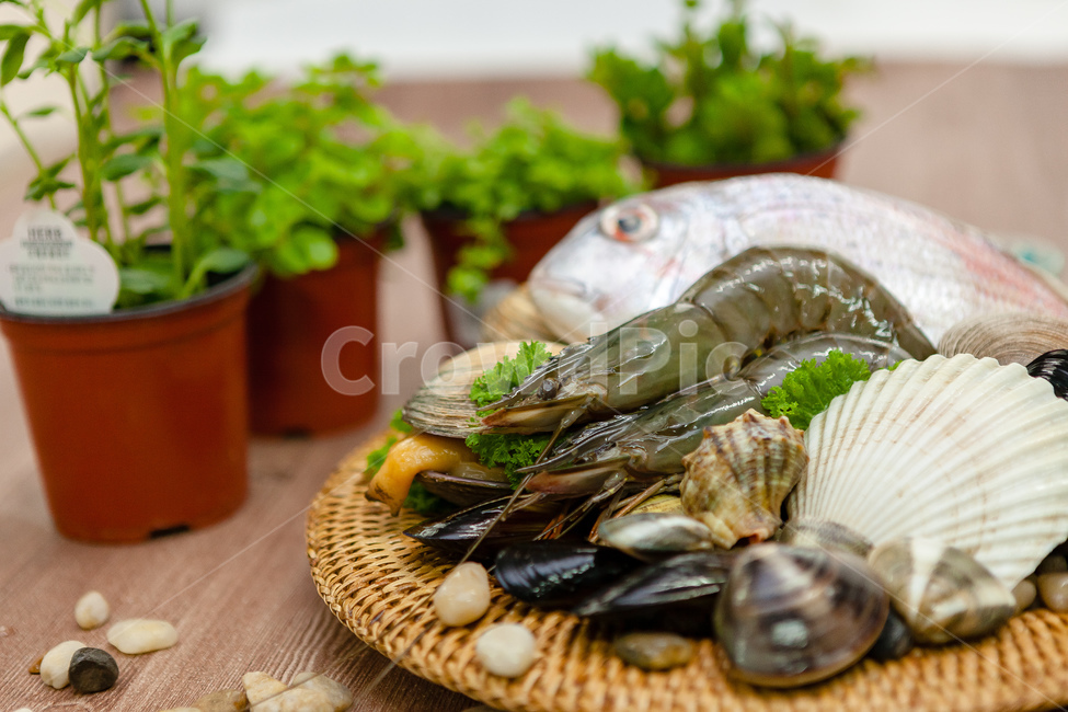해물,대합,새우,가리비,해산물재료,음식,식재료,요리,food,cook,meal,dishes,food reserves,수산물,해산물,fishery products,seafood