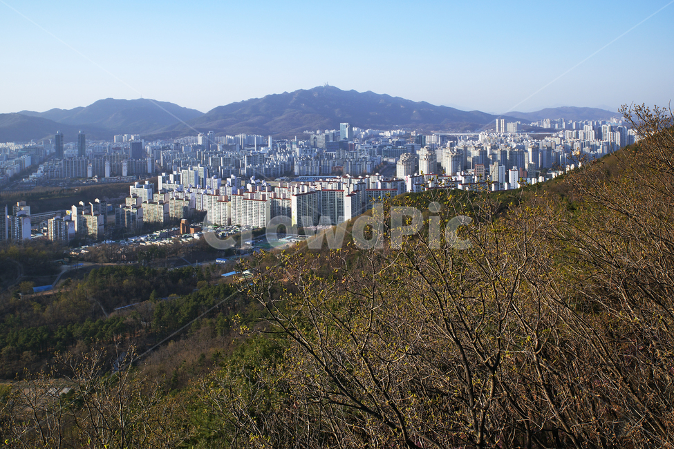 모락산,경기도,의왕시,안양시,도심풍경,도시,건물,평촌