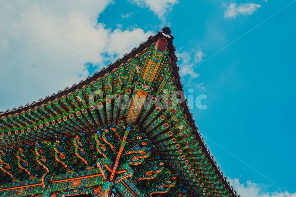 temple,architecture,건축물,건물,절,사찰,하늘,구름,sky,cloud,나무,tree,풍경,절풍경,기와,지붕,기와지붕