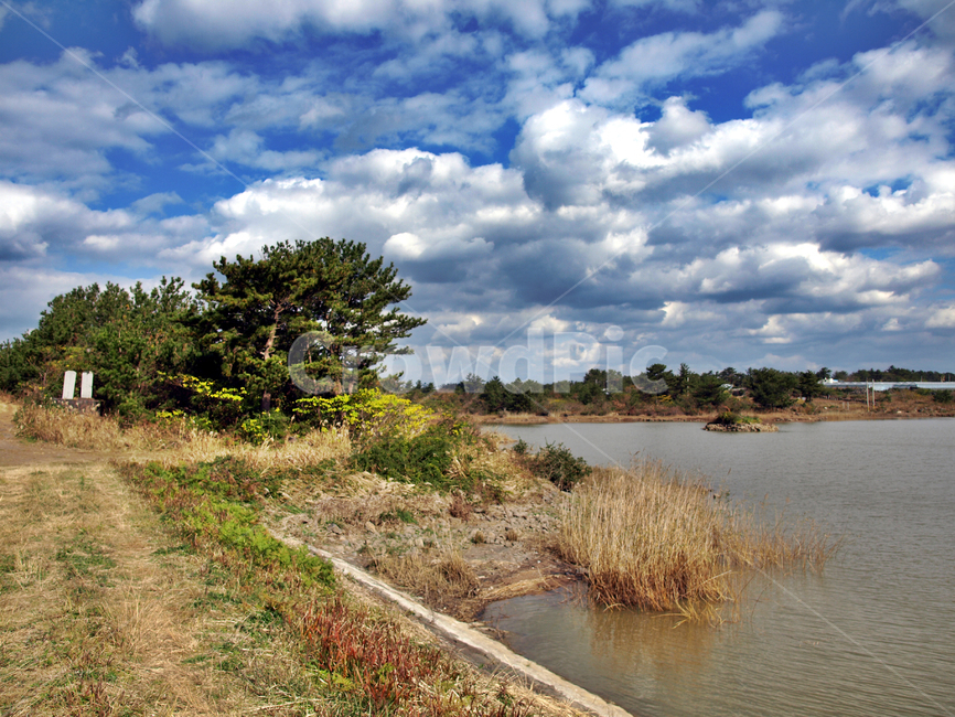 용수저수지,저수지,올레13코스,올레길,제주,푸른하늘,흰구름,자연,풍경,nature,landscape,outdoors,옥외,land,땅,water,물,weather,날씨