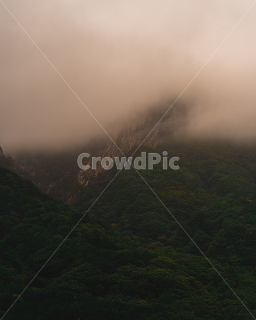 구름,흐림,안개,nature,자연,weather,날씨,outdoors,옥외