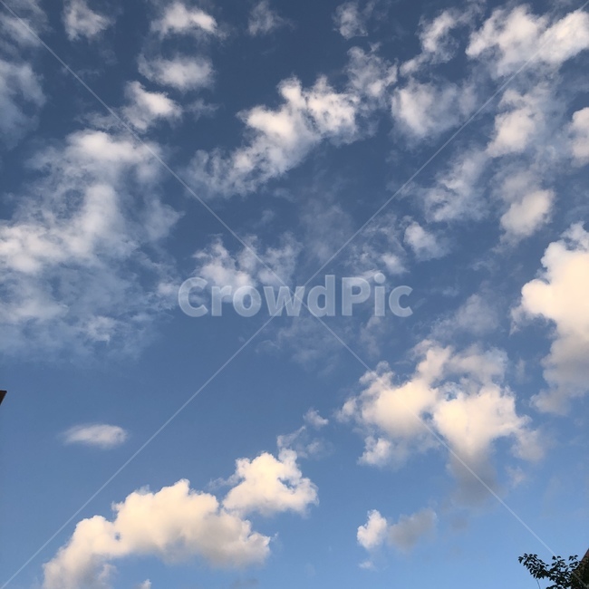 하늘,구름,층운형,봄,sky