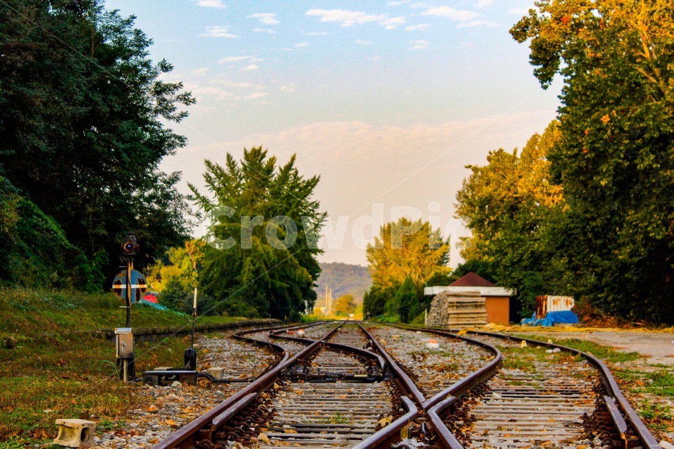 rail,레일,traintrack,기찻길,transportation,교통,railway,철도,벽제역,벽제,폐역,교통,교통수단,traffic,transportation