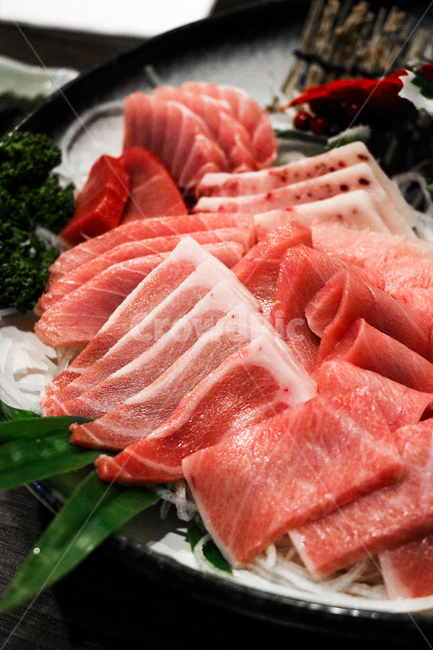 음식,food,참치,회,참치회,참다랑어,음식,식재료,요리,food,cook,meal,dishes,food reserves