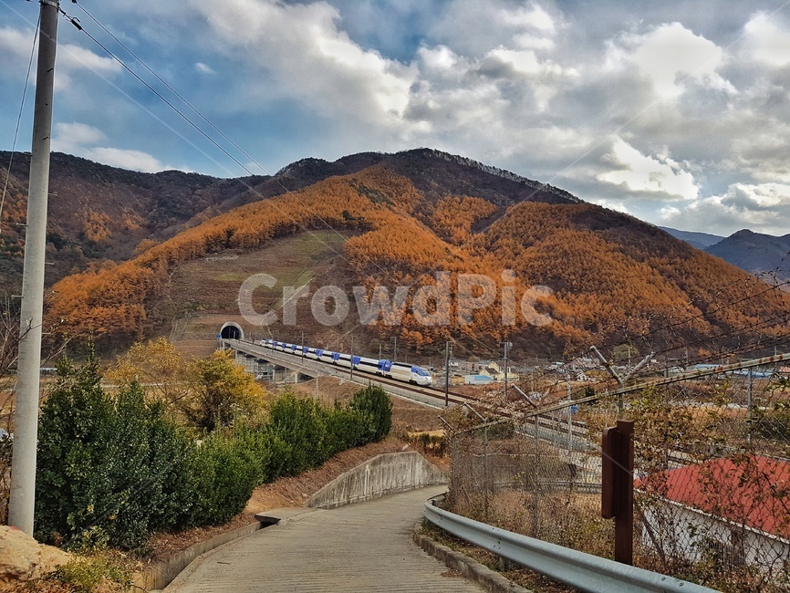 풍경,가을,산,기차,단풍나무,가을,계절,fall,autumn,season,자연,풍경,nature,landscape,road,도로,outdoors,옥외