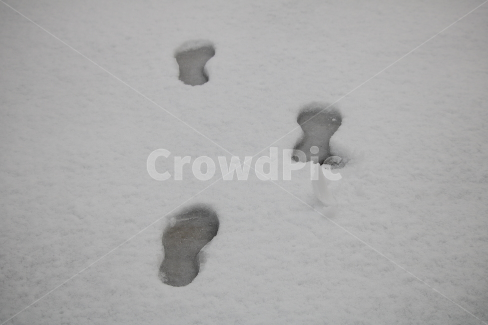 눈,겨울,발자국,눈발자국,snow,겨울,계절,winter,season