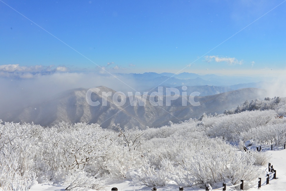 전북,무주,설천봉,상고대,상제루,mountainrange,산맥,winter,겨울,blizzard,눈보라,storm,폭풍,nature,자연,outdoors,옥외,ice,빙,snow,눈,mountain,산,향적봉,겨울,계절,winter,season,자연,풍경,nature,landscape