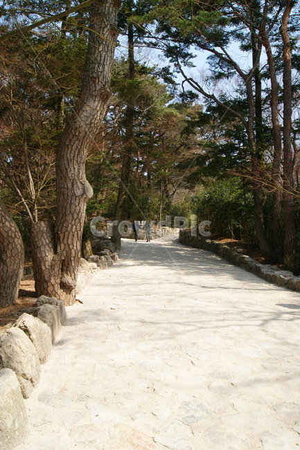 풍경,landscape,nature,휴식,rest,season,산책로,경주,산책,나무,가을,walk,road