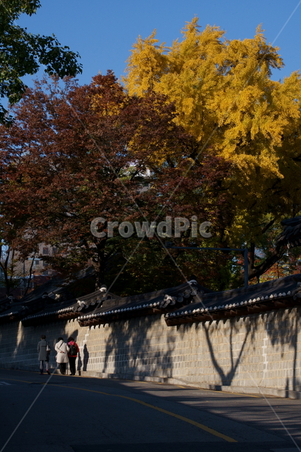 가을,궁궐,낙엽,기와,전통,단풍,koreatraditional,koreapalace,autumn,koreaautumn,autumnleaves,nature,colorful