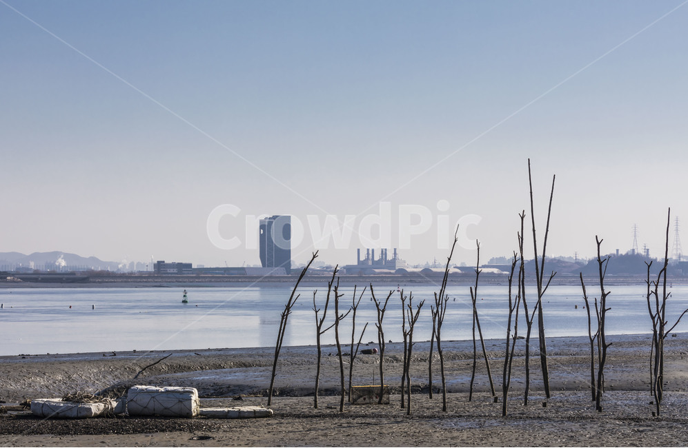 어구,갯벌,바닷가,영종도,풍경,환경,자연,풍경,nature,landscape,해변,바다,beach,sea,water,물,outdoors,옥외