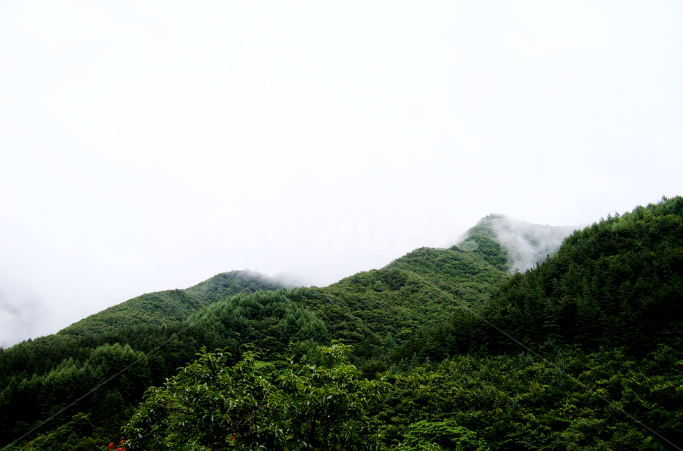 산,초록색,푸르른,한국,자연풍경,구름,경계,mountain,green,nature,landscape,광활한,경이로운,자연,농촌,시골,촌,공기,맑은
