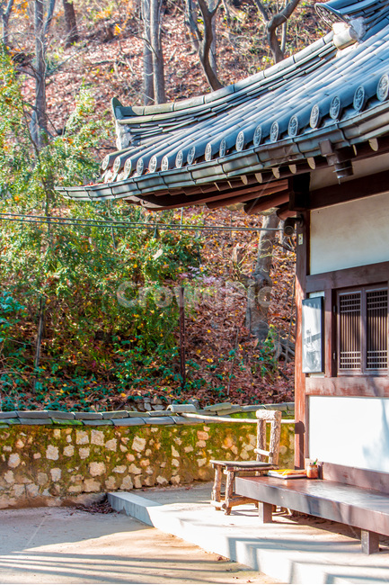 가을,뜨락,감성,툇마루,사색,마당,가을,계절,fall,autumn,season,한국전통,한국문화,korean traditional,korean culture,건축물,건물외관,exterior,building,structure,architecture,construction