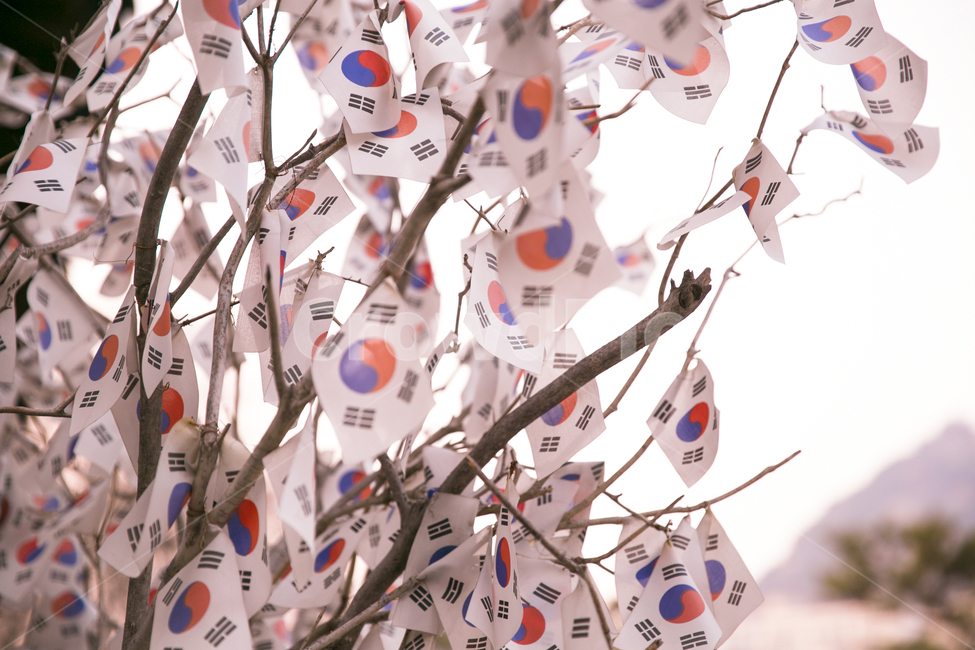 태극기,국기,taegeukgi,flag,광복절,independence