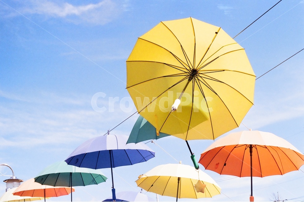 필름,하늘,우산,가을,강원도,필름사진,청량,색감,색깔,색상,색채,색감,color sense,color sensitivity,feeling of color,사물,물건,오브젝트,thing,object,matter