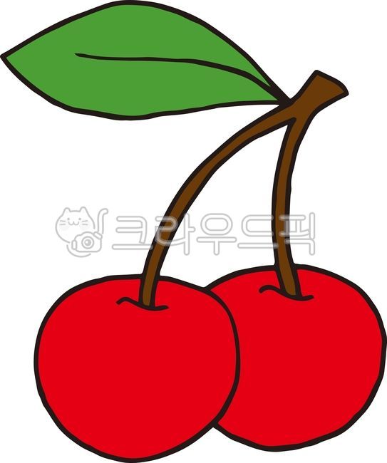 Cherry illustration,cherry,cherry illustration,cherry vector,fruit,cherry drawing,fruit,fruit illustration
