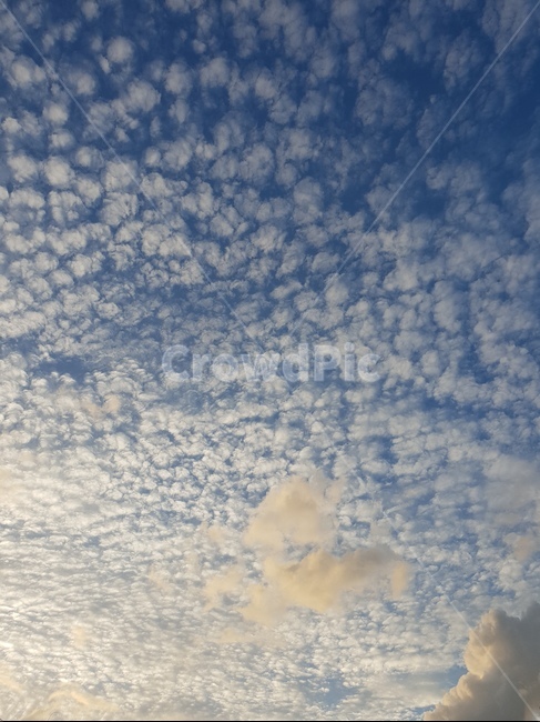 하늘,구름,파란하늘,여름,여름하늘,맑은하늘,sky,summersky,clouds,sunnyday,bluesky