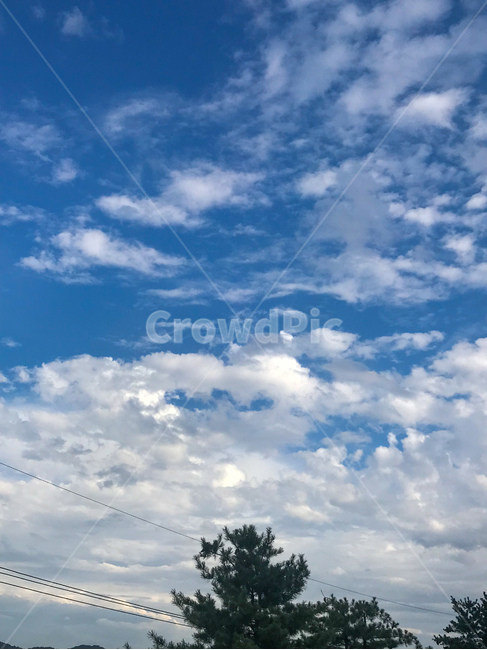하늘,구름,파란,파란하늘,푸른,뭉게구름,sky,맑은,맑은날