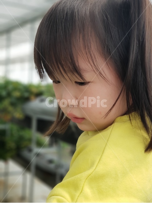 어린이,유아,체험,집중,딸기,놀이,사람,인물,인간,human,person,어린이,어린아이,child,children,kid