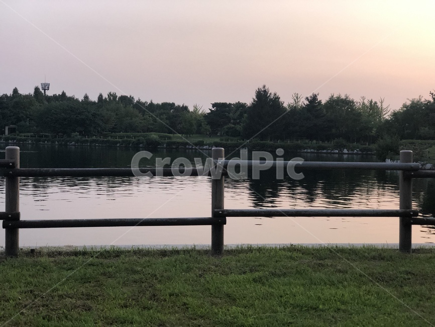 water,nature,outdoors,옥외,공원,자연,호수,인공호수,물,식물,plant,tree,park,lake