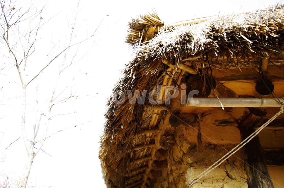 초가지붕,전통가옥,한국,초가집,처마,한국전통,한국문화,korean traditional,korean culture,건축물,건물외관,exterior,building,structure,architecture,construction