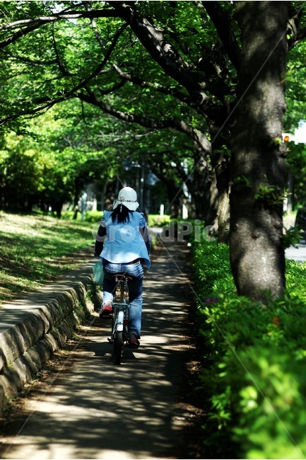 봄,나들이,자전거,spring,소풍,bicycle,인물,사람,날씨,봄,계절,spring,season,사람,인물,인간,human,person,여성,여자,woman,female,lady,휴식,힐링,rest,relaxation,healing