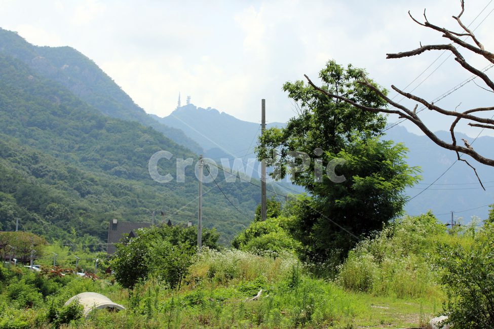 nature,outdoors,옥외,공주,동학사,식물,숲,산,나무,자연,하늘,전원