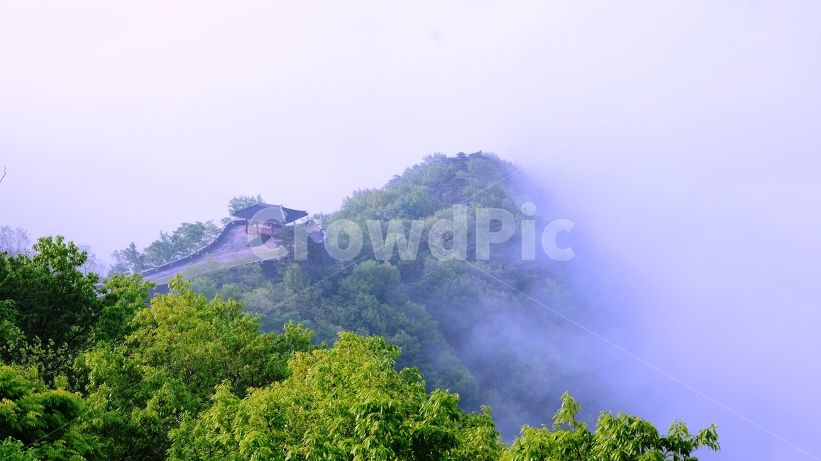 담양,금성산성,운해,산성,신록,자연,풍경,nature,landscape,outdoors,옥외,weather,날씨