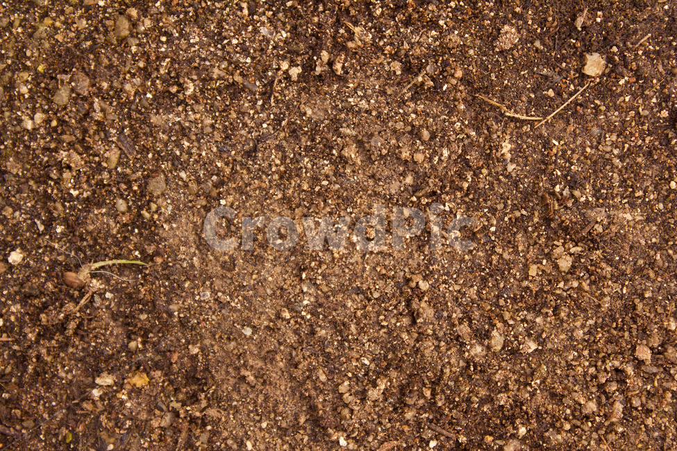 흙,땅,모래,브라운,갈색,탑앵글,탑뷰,soil,sand,brown,top,topview,topangle,건조한,마른,클로즈업,농장,자연,농토,표면,텍스춰,dry,farm,ground,land,nature,surface,텍스처,질감,패턴,texture,pattern